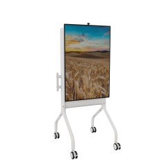 Chief LSCUW montage des affichages de messages 190,5 cm (75") Blanc
