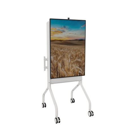 Chief LSCUW montage des affichages de messages 190,5 cm (75") Blanc