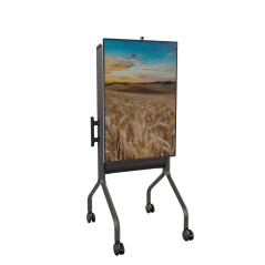 Chief LSCUB montage des affichages de messages 190,5 cm (75") Noir