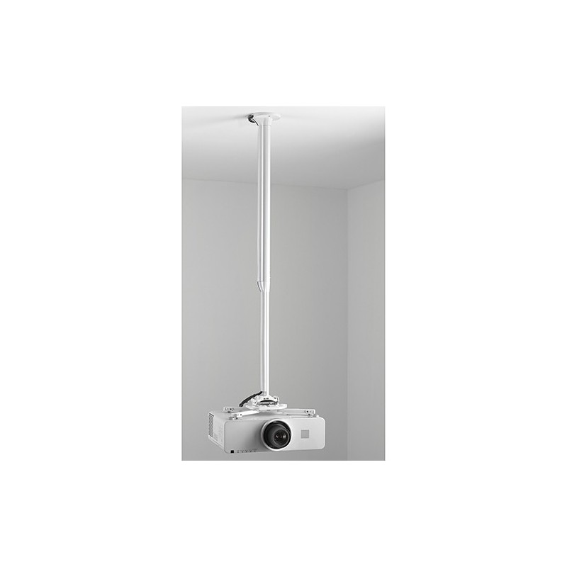 Chief KITEC080135W support pour projecteurs Plafond Blanc Chief KITEC080135W support pour projecteurs Plafond Blanc