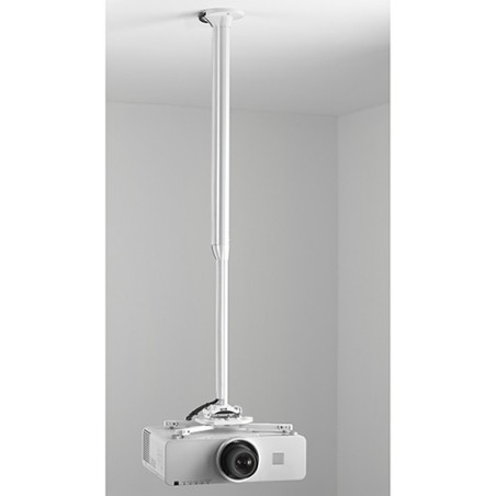Chief KITEC080135W support pour projecteurs Plafond Blanc