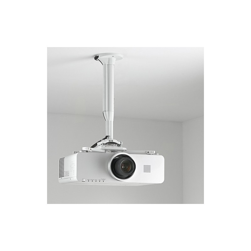 Chief KITEP080135W support pour projecteurs Plafond Blanc Chief KITEP080135W support pour projecteurs Plafond Blanc