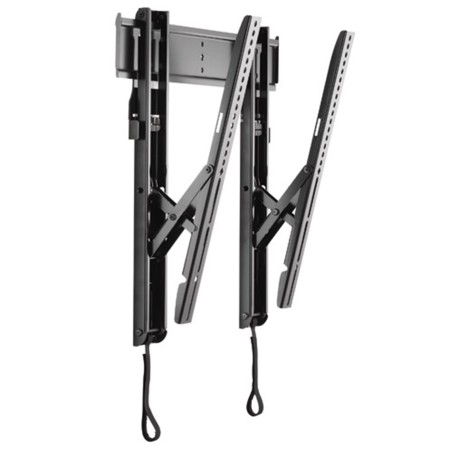 Chief Thinstall Universal Tilt Wall Mount Noir
