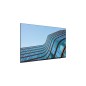 Lenovo ThinkVision E55 LFD écran plat de PC 138,7 cm (54.6") 3840 x 2160 pixels 4K Ultra HD IPS Noir Lenovo ThinkVision E55 LFD écran plat de PC 138,7 cm (54.6") 3840 x 2160 pixels 4K Ultra HD IPS Noir