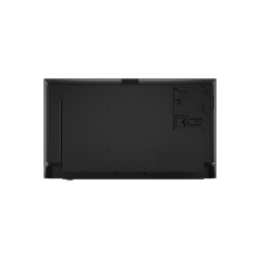 Lenovo ThinkVision E55 LFD écran plat de PC 138,7 cm (54.6") 3840 x 2160 pixels 4K Ultra HD IPS Noir