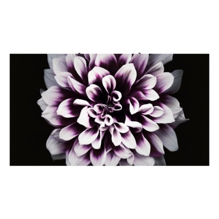 Samsung LH008IWJMWS Écran d'affichage dynamique Écran plat de signalisation numérique LED 500 cd m² 4K Ultra HD Noir, Argent