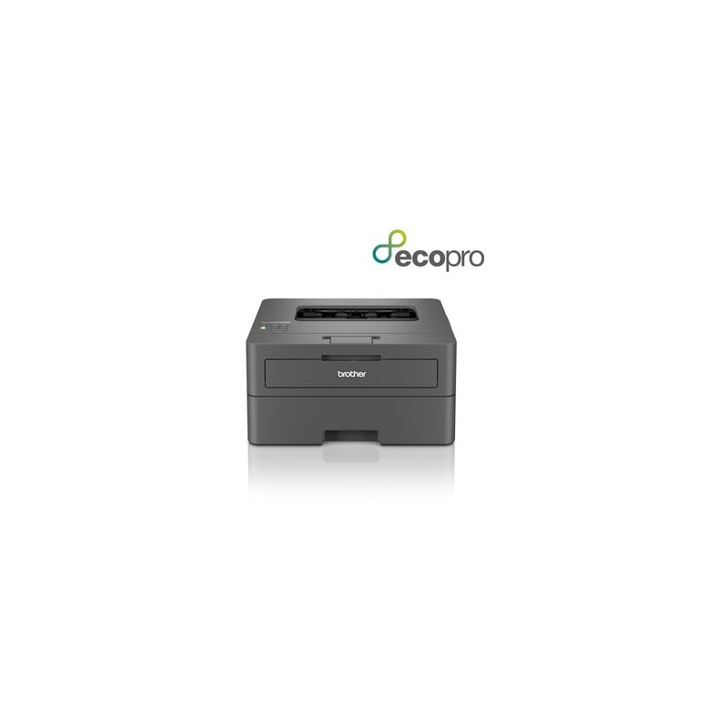 Brother HL-L2400DWE imprimante laser 1200 x 1200 DPI A4 Wifi
