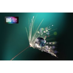 H6815BD DLP 4K 4000Lm 10000/1 2xHDMI