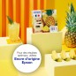 Ink/604XL Pineapple CMYK SEC