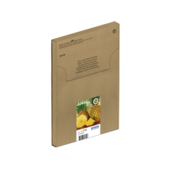 Ink/604XL Pineapple EasyMail CMYK
