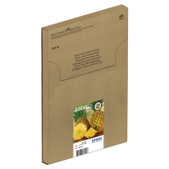 Ink/604XL Pineapple EasyMail CMYK