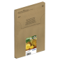 Ink/604XL Pineapple EasyMail CMYK