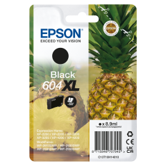 Ink/604XL Pineapple 8.9ml BK