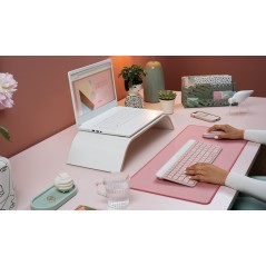 MK470 Slim Combo Rose FR