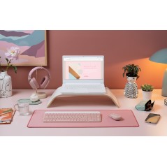 MK470 Slim Combo Rose FR