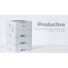 Brother HL-L6210DW - Imprimante laser monochrome professionnelle A4