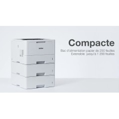 Brother HL-L5210DN - Imprimante laser monochrome professionnelle A4