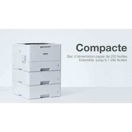 Brother HL-L5210DN - Imprimante laser monochrome professionnelle A4
