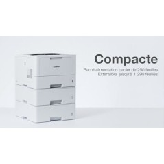 Brother HL-L5210DN - Imprimante laser monochrome professionnelle A4