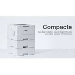 Brother HL-L5210DW - Imprimante laser monochrome professionnelle A4