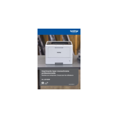 Brother HL-L5210DW - Imprimante laser monochrome professionnelle A4
