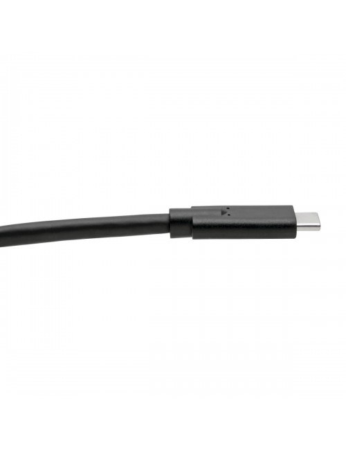 Tripp Lite U420-006-5A Cable USB-C (M M) - USB 3.1, Gen 1 (5 Gbps), Especificación de 5A, Compatible con Thunderbolt 3, 1.83 m