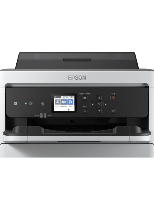 Epson DURABrite Pro