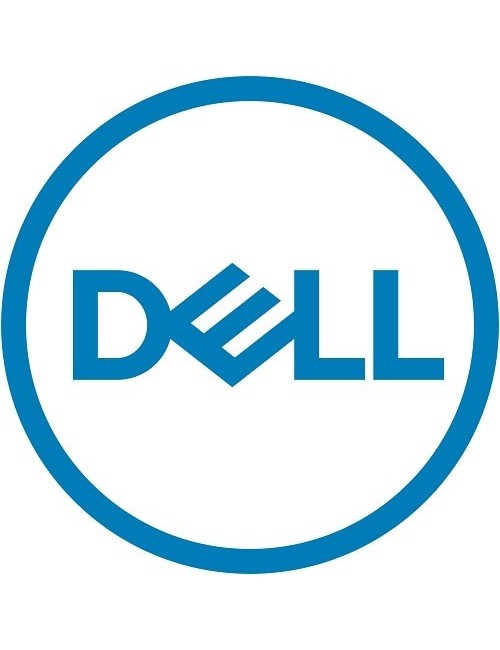 DELL 540-BBVM adaptador y tarjeta de red Interno Ethernet 10000 Mbit s