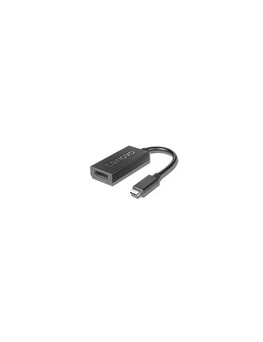 Lenovo 4X90Q93303 adaptateur graphique USB Noir
