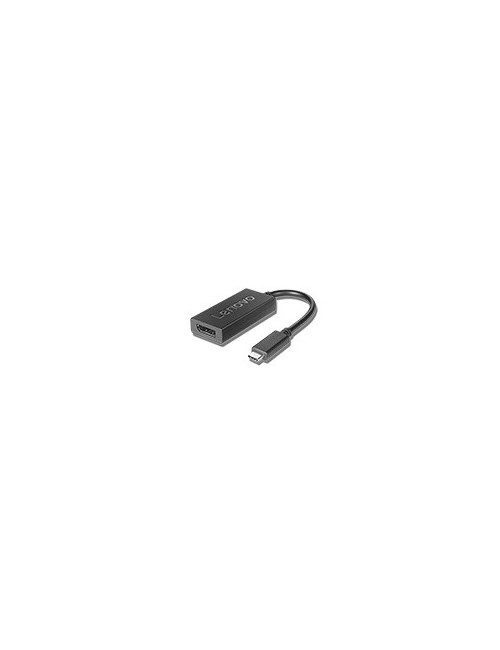 Lenovo 4X90Q93303 adaptateur graphique USB Noir