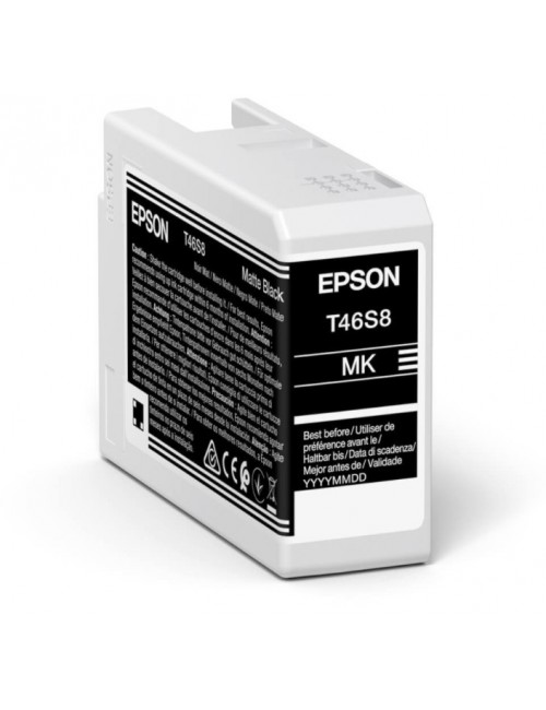 Epson UltraChrome Pro cartuccia d'inchiostro 1 pz Originale Nero opaco
