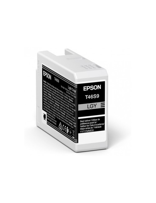 Epson UltraChrome Pro cartuccia d'inchiostro 1 pz Originale Grigio chiaro