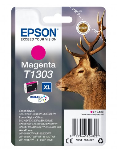 Epson Stag Cartuccia Magenta