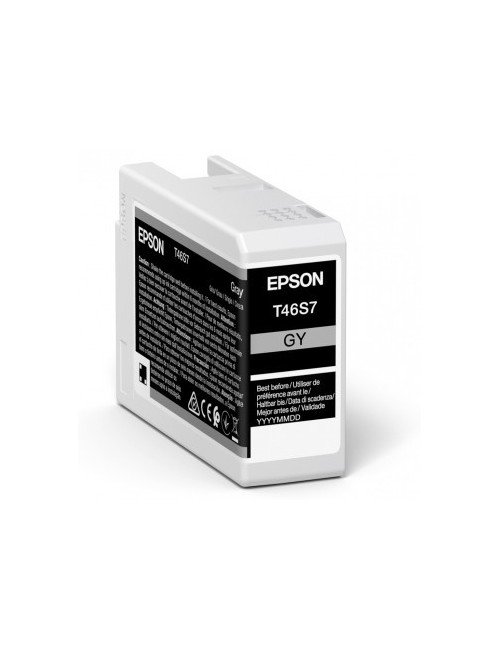 Epson UltraChrome Pro cartucho de tinta 1 pieza(s) Original Gris
