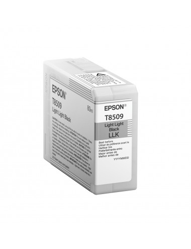 Epson Singlepack Light Light Black T850900