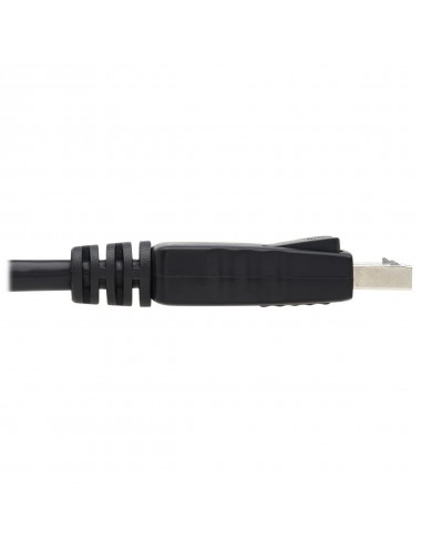 Tripp Lite P580-006 câble DisplayPort 1,83 m Noir