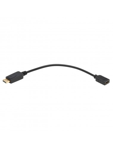 Tripp Lite P136-001 câble vidéo et adaptateur 0,3 m DisplayPort HDMI Noir