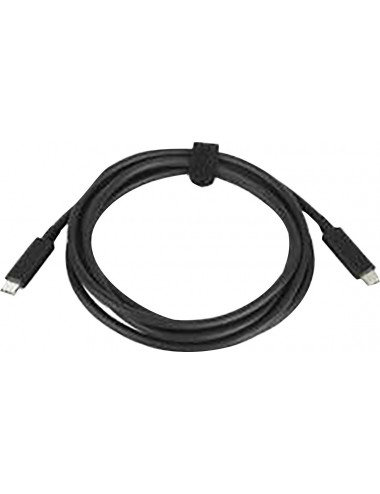 HP Cable de USB-C a USB-C de 100 W (base carga de pantalla Z)