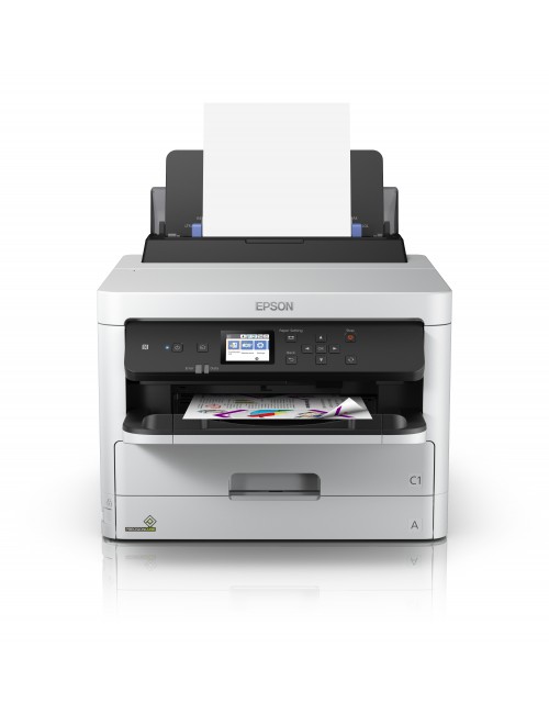 Epson DURABrite Pro