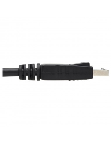 Tripp Lite P580-010 câble DisplayPort 3,05 m Noir
