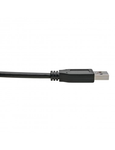 Tripp Lite U428-C03-G2 câble USB 0,9 m USB 3.2 Gen 2 (3.1 Gen 2) USB A USB C Noir