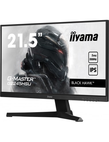 iiyama G-MASTER G2245HSU-B1 écran plat de PC 55,9 cm (22") 1920 x 1080 pixels Full HD LED Noir