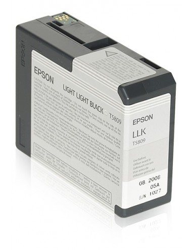 Epson Encre Pigment Gris Clair SP 3800 3880 (80ml)
