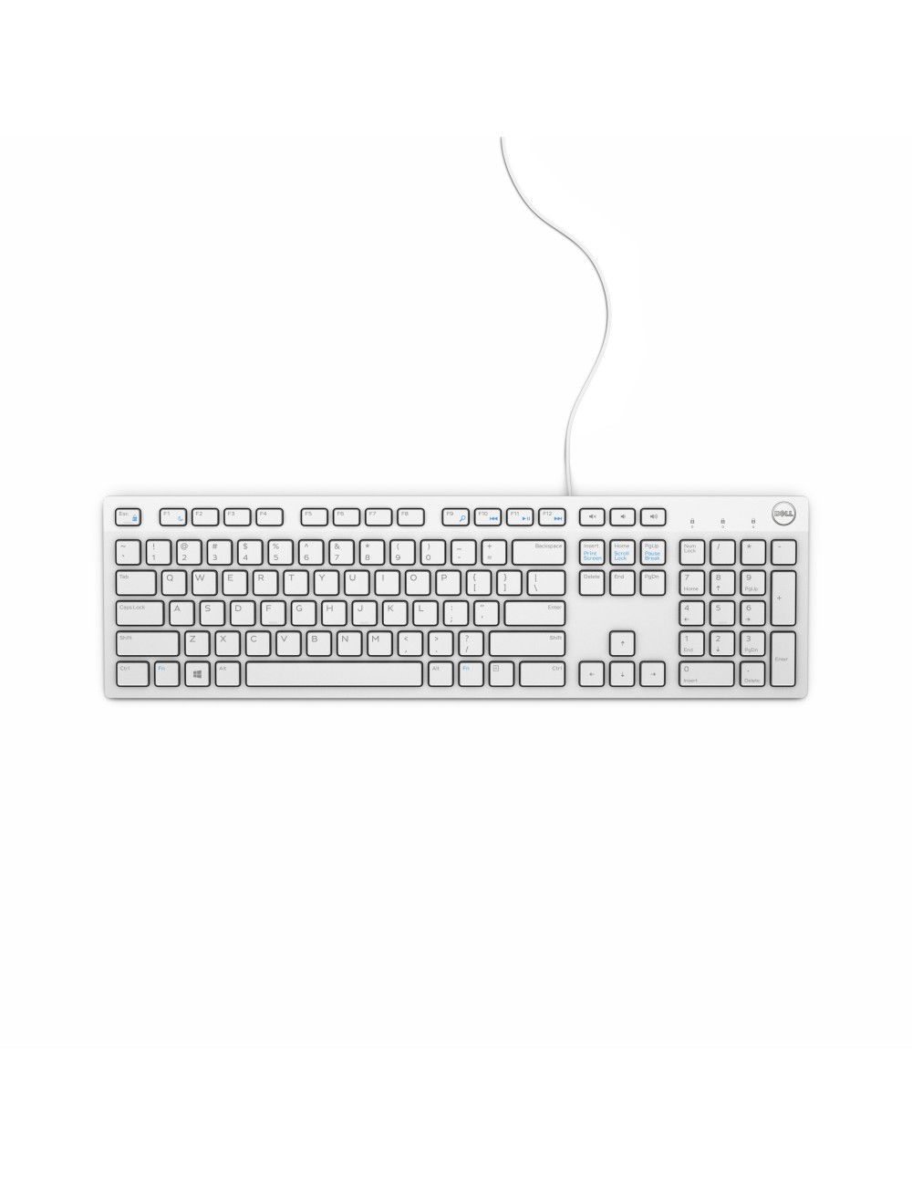DELL KB216 teclado USB AZERTY Francés Blanco