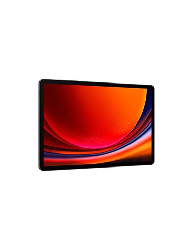 Samsung Galaxy Tab S9+ SM-X810N Qualcomm Snapdragon 256 GB 31,5 cm (12.4") 12 GB Wi-Fi 6 (802.11ax) Android 13 Grafito