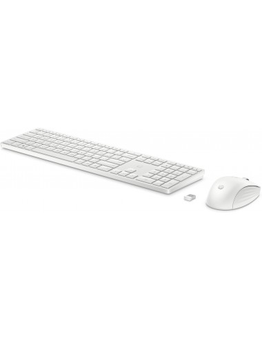 HP Combo tastiera e mouse wireless 650