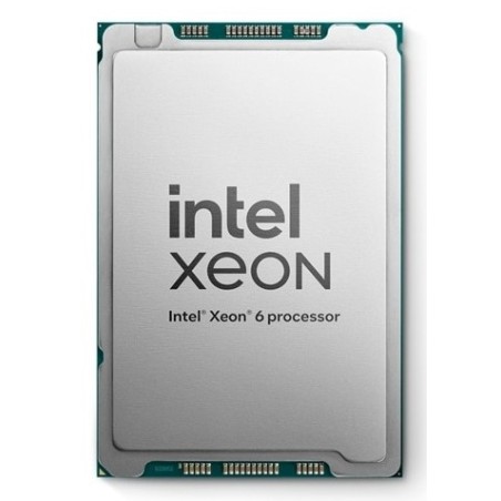 DELL Intel Xeon 6 Perfmance 6521P processeur 2,6 GHz 144 Mo