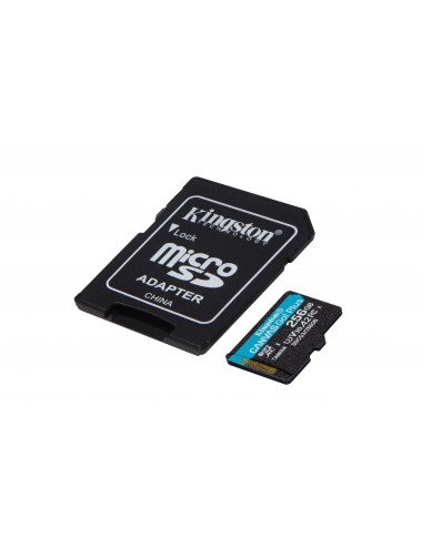 Kingston Technology Carte microSDXC Canvas Go Plus 170R A2 U3 V30 de 256 Go + ADP