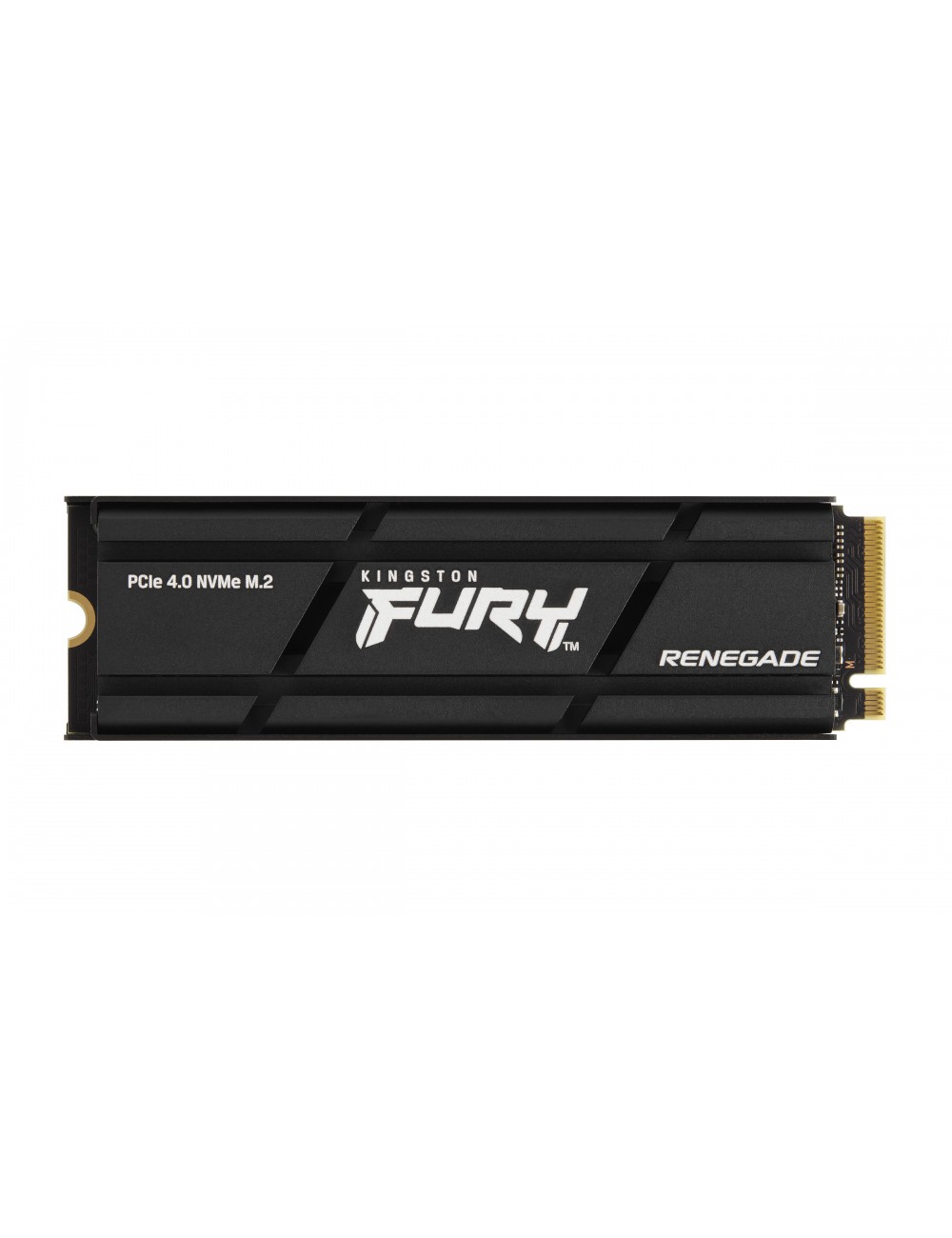 Kingston Technology 4000G RENEGADE PCIe 4.0 NVMe SSD W Radiateur de dissipation thermique