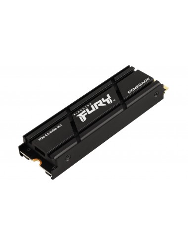 Kingston Technology 4000G RENEGADE PCIe 4.0 NVMe SSD W Dissipatore di calore